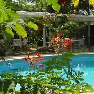 2* Motel Orchard Garden